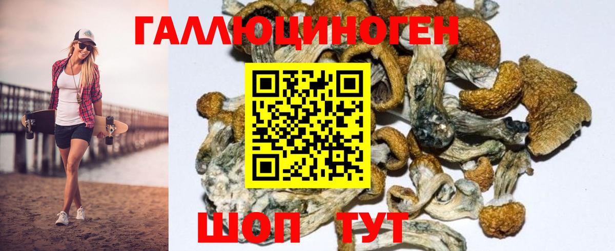 Галлюциногенные грибы GOLDEN TEACHER  Галлюциногенные грибы мицелий  Кандалакша  Вход с VPN 